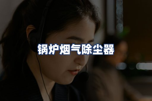 锅炉烟气除尘器